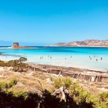 Villetta Indipendente Immersa Nel Verde ستينتينو المظهر الخارجي الصورة