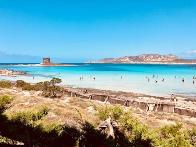 Villetta Indipendente Immersa Nel Verde ستينتينو المظهر الخارجي الصورة
